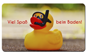 
			                        			Baden4
